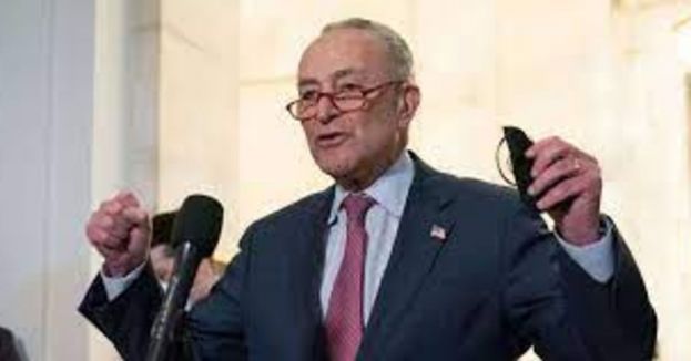 Watch: This Is Why We Call Him &#039;Schmuck&#039; Schumer