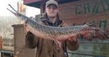 Fishing Record Smashed In Missouri As Massive Gar Caught In Reservoir