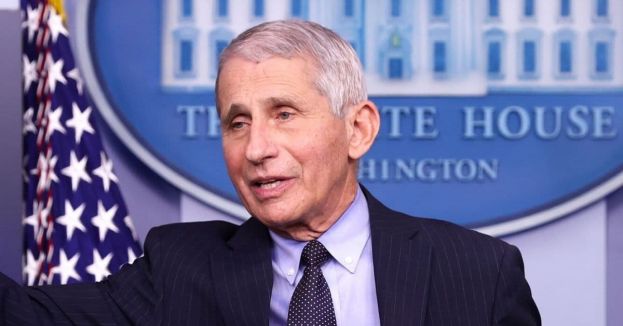 Criminal Probe Could Be Launched Against Fauci
