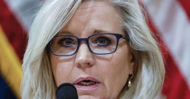 Despite Trump&#039;s Campaign To Oust Her, Liz Cheney Has Raised A Ton Of Cash